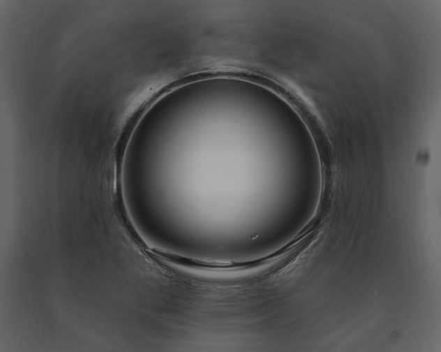 X0000091671269200708231321