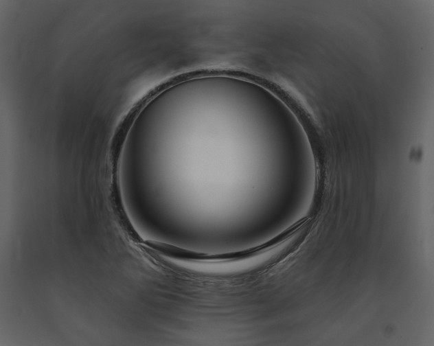 X0000091671270200708231321