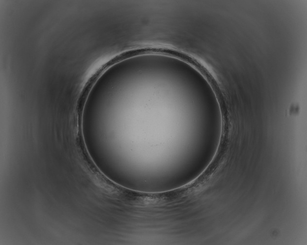 X0000091671271200708231321