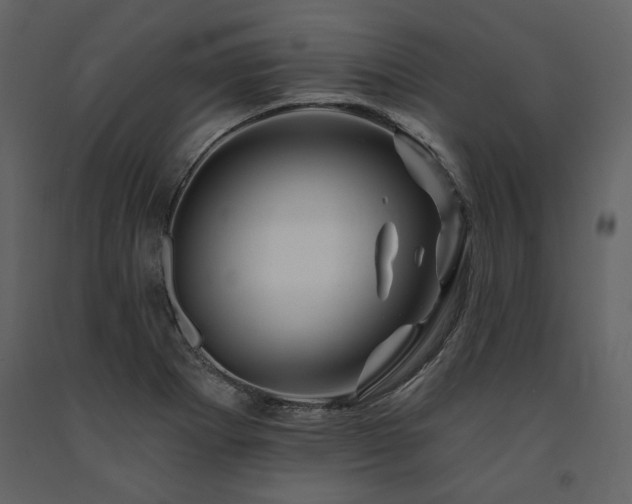 X0000091671273200708231321