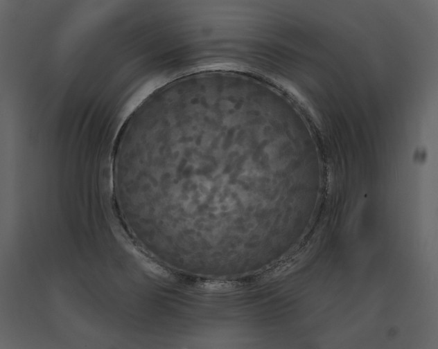 X0000091671274200708231321