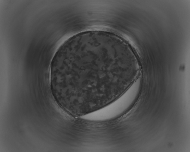 X0000091671275200708231321