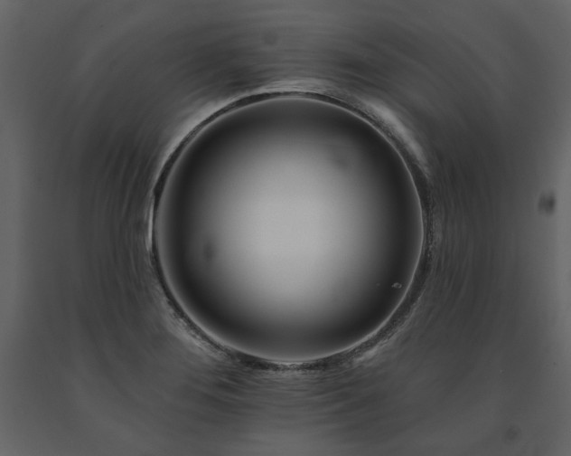 X0000091671276200708231321