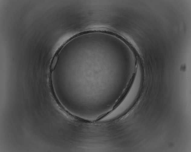 X0000091671277200708231321