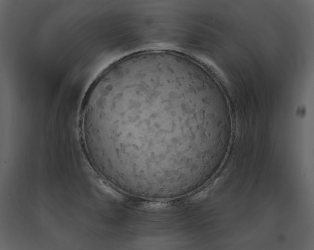 X0000091671278200708231321