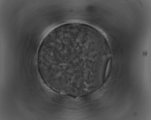 X0000091671279200708231321