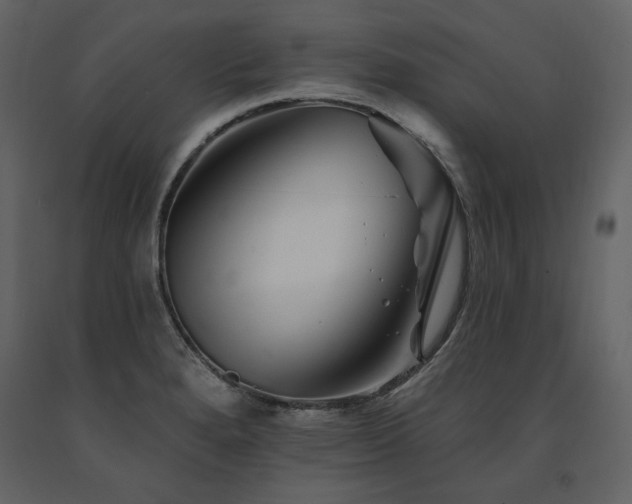 X0000091671280200708231321