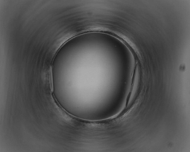 X0000091671281200708231321