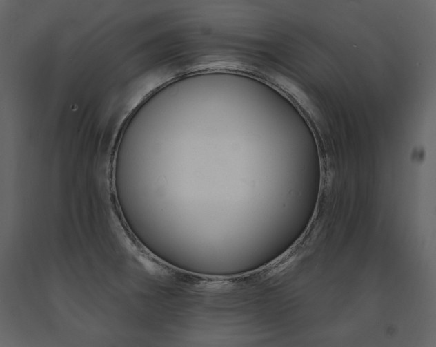 X0000091671282200708231321