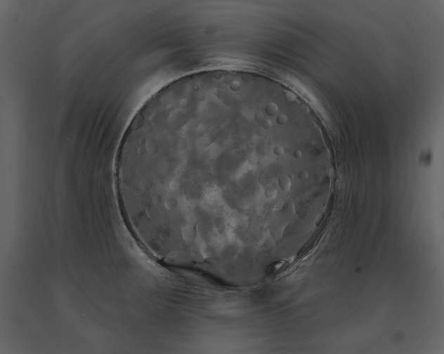 X0000091671283200708231321