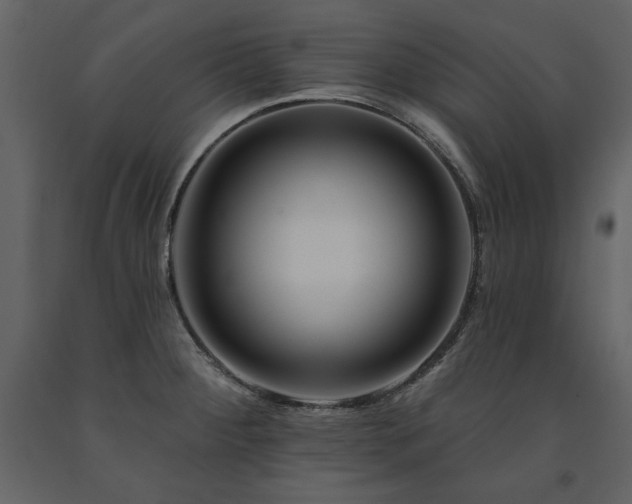 X0000091671284200708231321