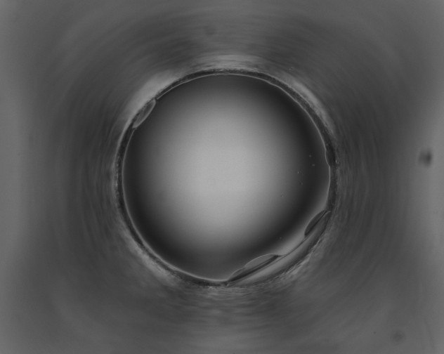 X0000091671285200708231321