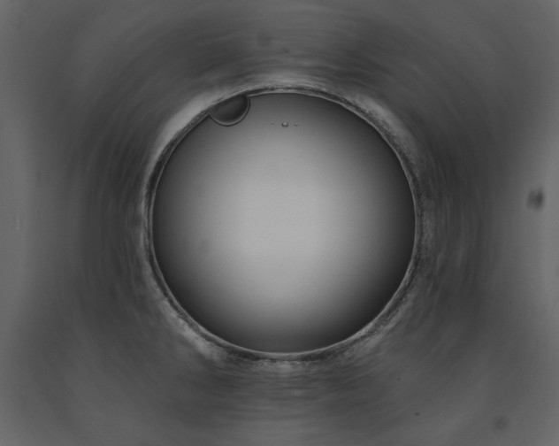 X0000091671286200708231321