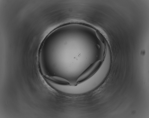 X0000091671287200708231321
