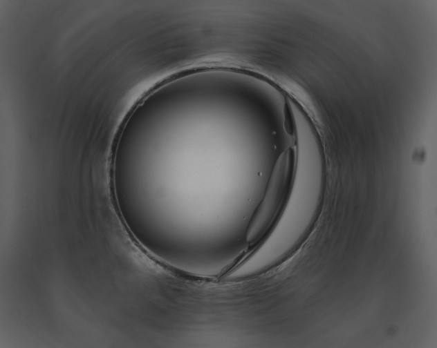 X0000091671288200708231321