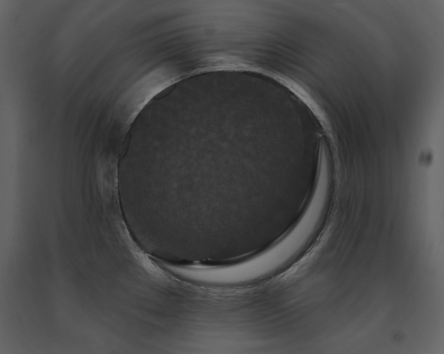 X0000091671289200708231321