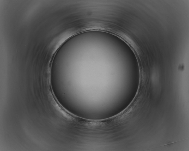 X0000091671290200708231321