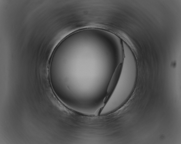 X0000091671292200708231321