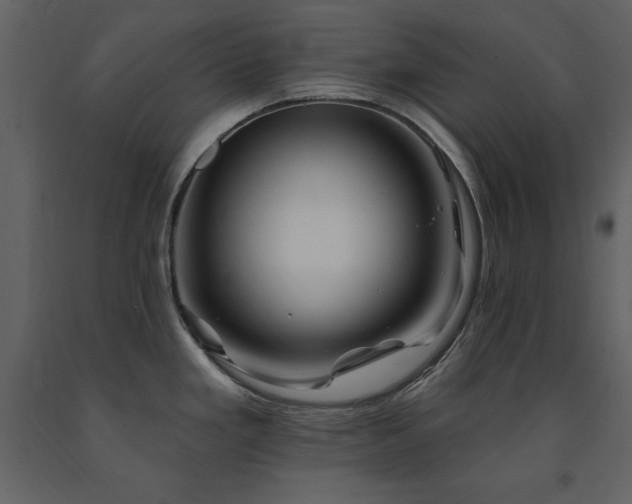 X0000091671293200708231321