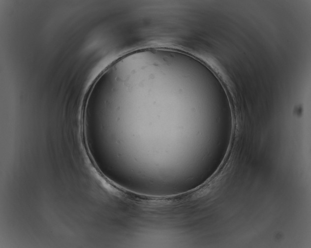 X0000091671294200708231321