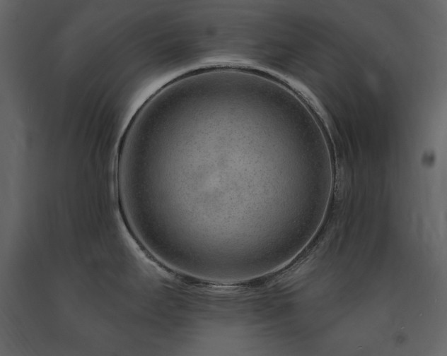 X0000091671295200708231320