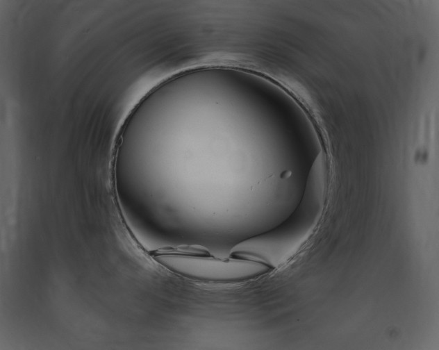 X0000091671296200708231320