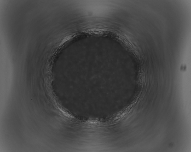 X0000091671297200708231320