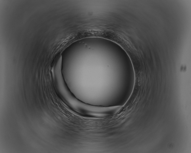 X0000091671298200708231320