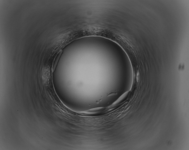 X0000091671299200708231320