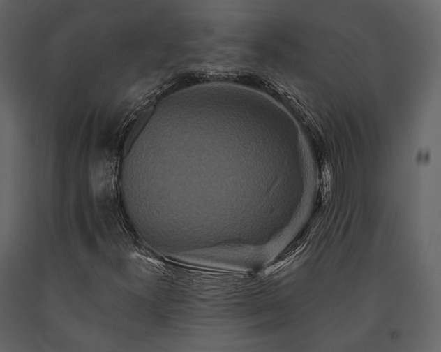 X0000091671300200708231320