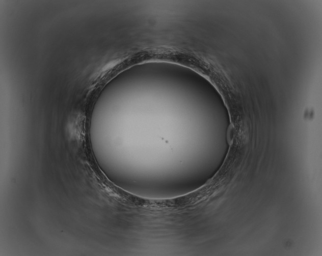 X0000091671301200708231320