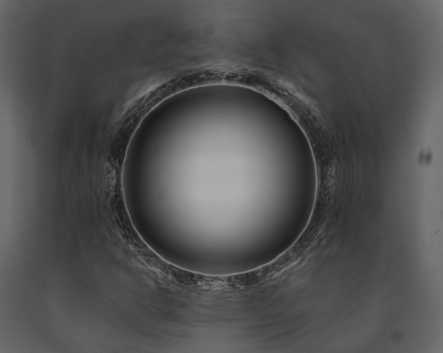 X0000091671302200708231320