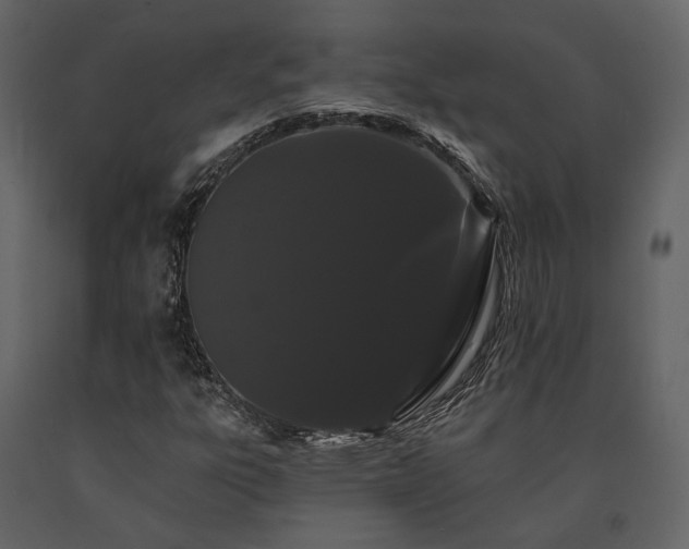X0000091671303200708231320
