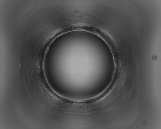 X0000091671305200708231320