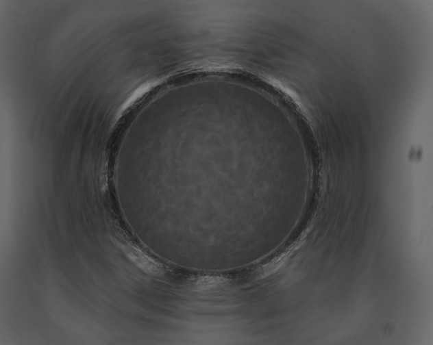 X0000091671306200708231320