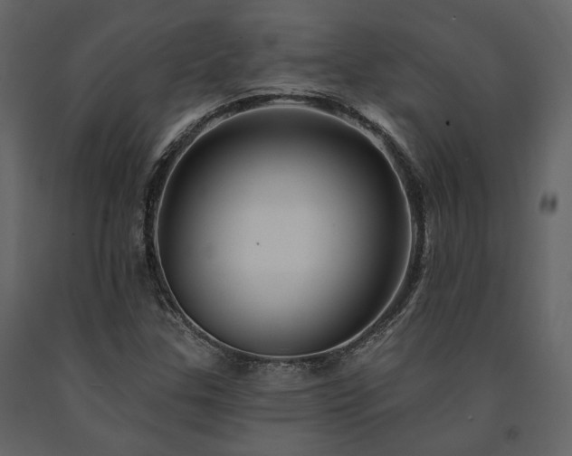 X0000091671307200708231320
