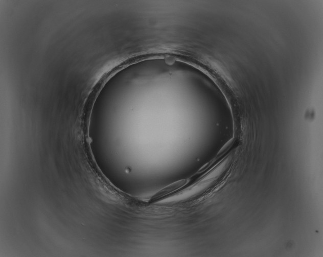 X0000091671308200708231320