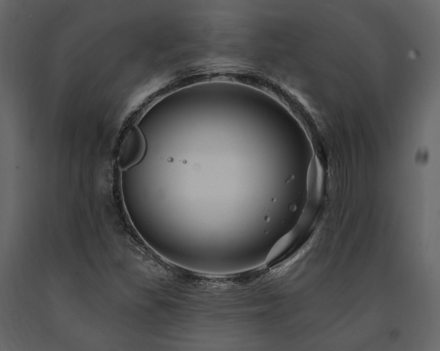 X0000091671309200708231320