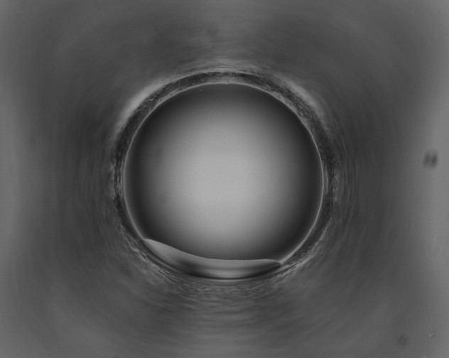 X0000091671310200708231320