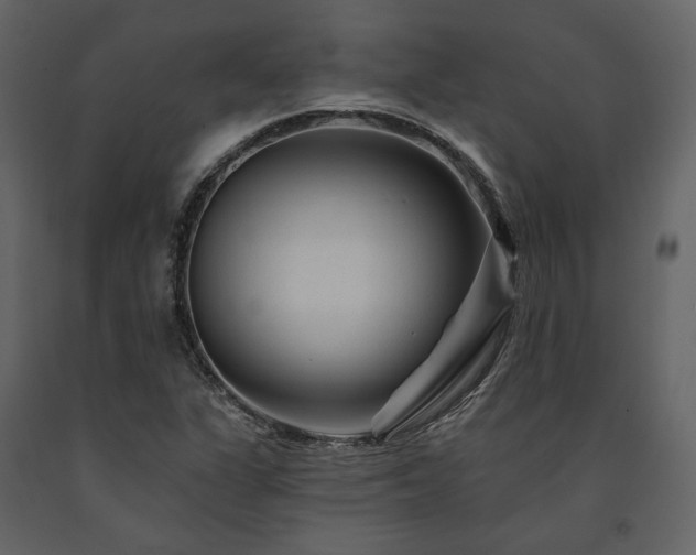 X0000091671311200708231320