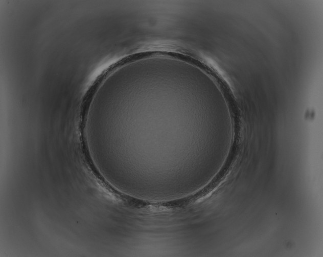 X0000091671312200708231320