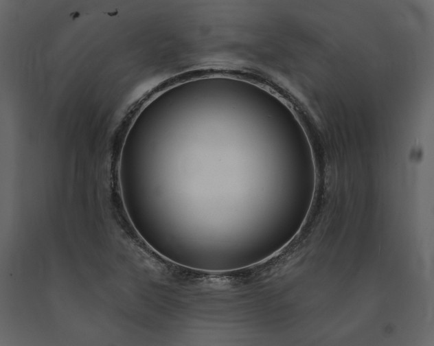 X0000091671315200708231320
