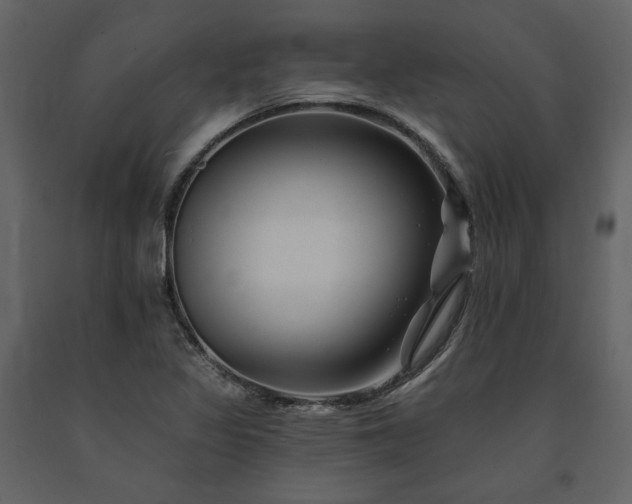 X0000091671317200708231320