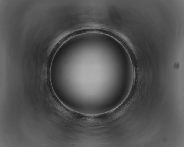 X0000091671318200708231320