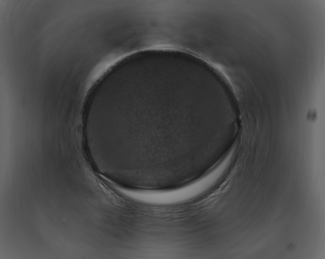 X0000091671319200708231320