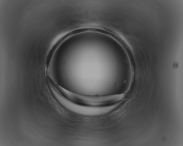 X0000091671320200708231320