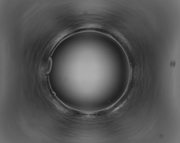 X0000091671321200708231320
