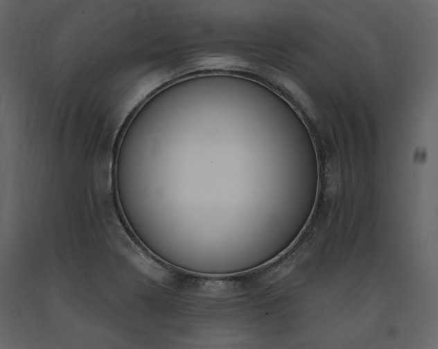 X0000091671322200708231320