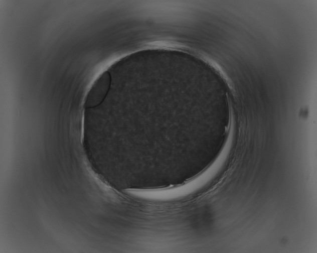 X0000091671323200708231320