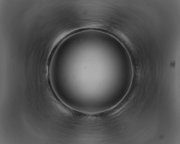 X0000091671324200708231320